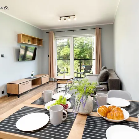 Nowoczesne Apartamenty Z Balkonami, W Dobrej Lokalizacji * Karpacz