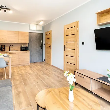 Nowoczesne Apartamenty Z Balkonami, W Dobrej Lokalizacji * Karpacz