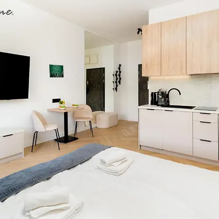 Nowoczesne Apartamenty Z Balkonami, W Dobrej Lokalizacji * Karpacz